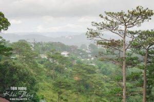 Tiệm nướng Khói Thông Đà Lạt, Tiệm nướng view rừng thông Đà Lạt, gà nướng cơm lam, lẩu cá tầm